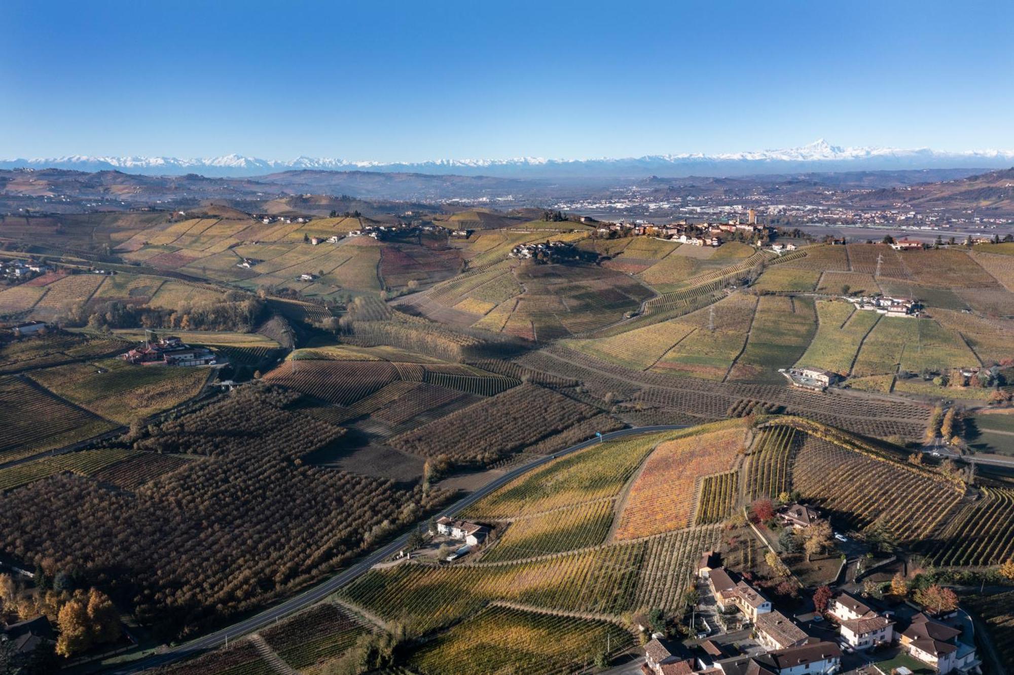 Agriturismo Antichi Poderi Gallina Neive Eksteriør bilde