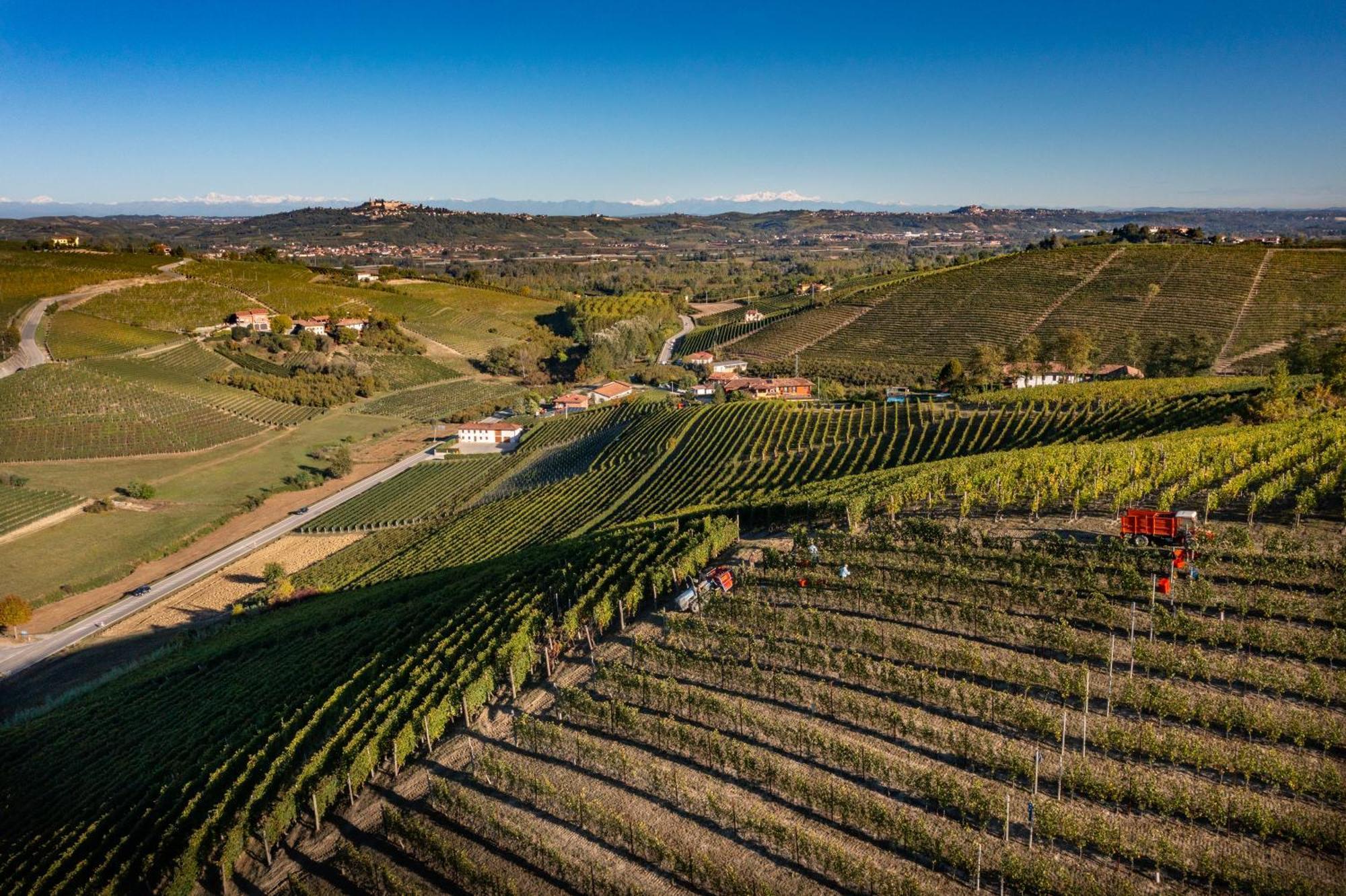 Agriturismo Antichi Poderi Gallina Neive Eksteriør bilde